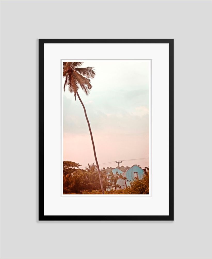 Other wall decoration - Palm Blue House - GALERIE PRINTS