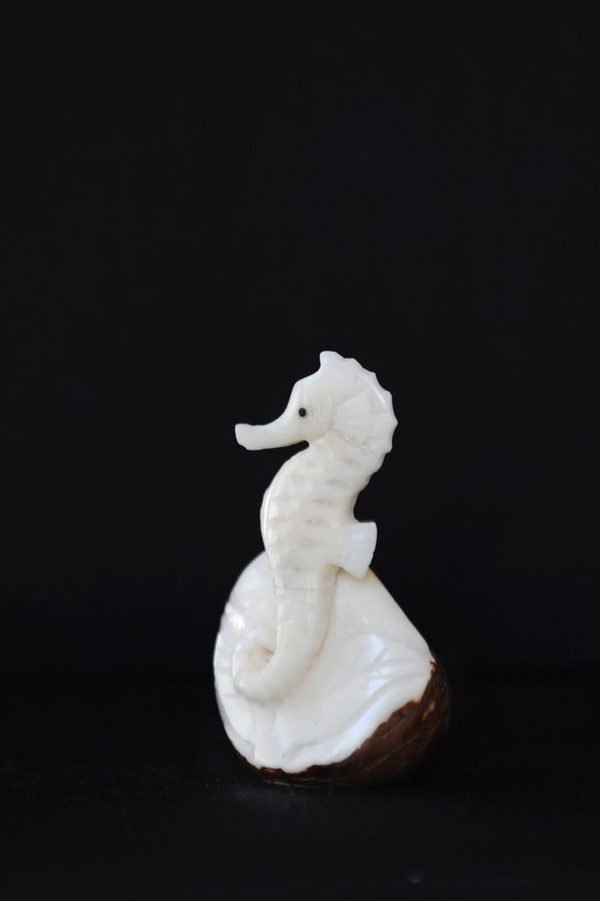 Objets personnalisables - Figurines en ivoire végétal - TAGUA AND CO