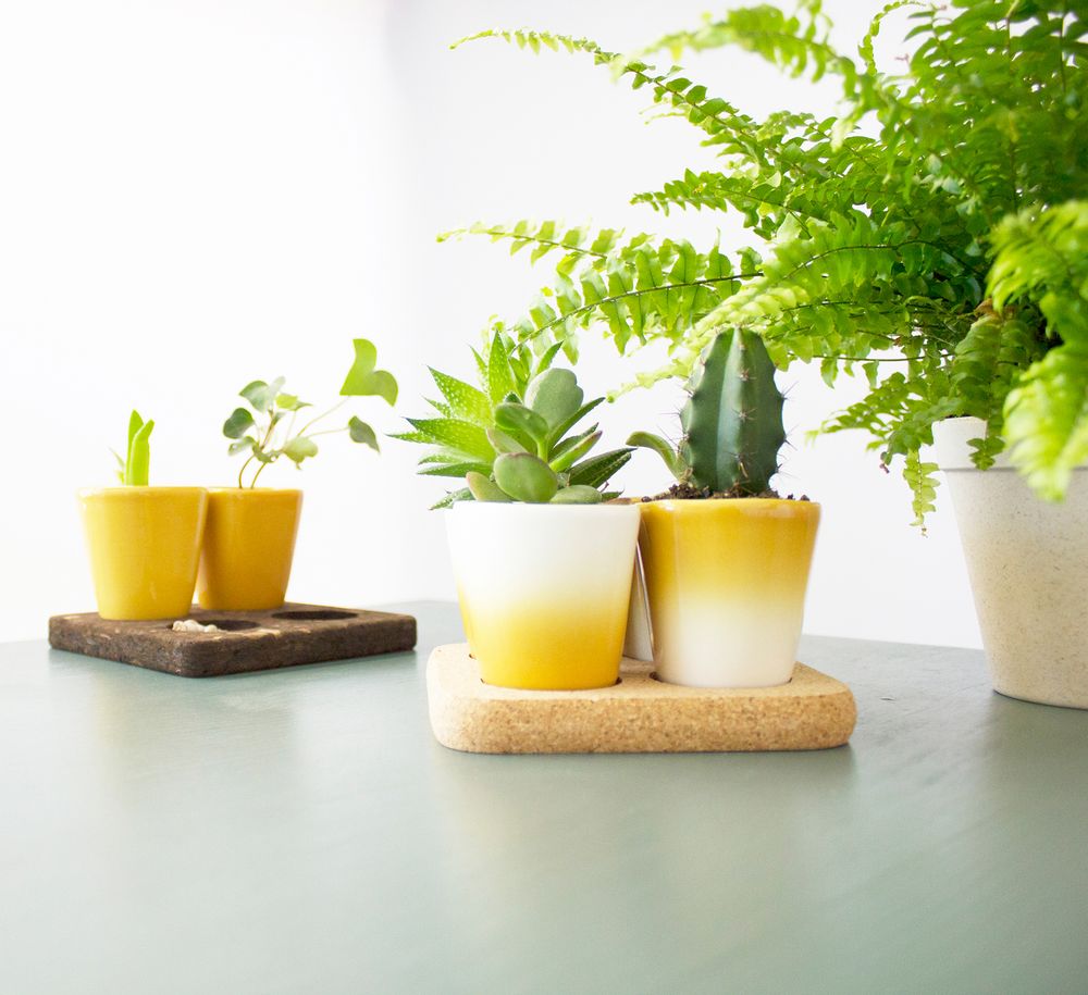Tea and coffee accessories - Copus 3.0 - DEDAL