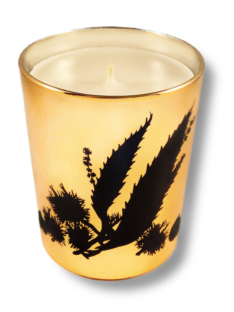 Candles - Marron glacé - BARBERA