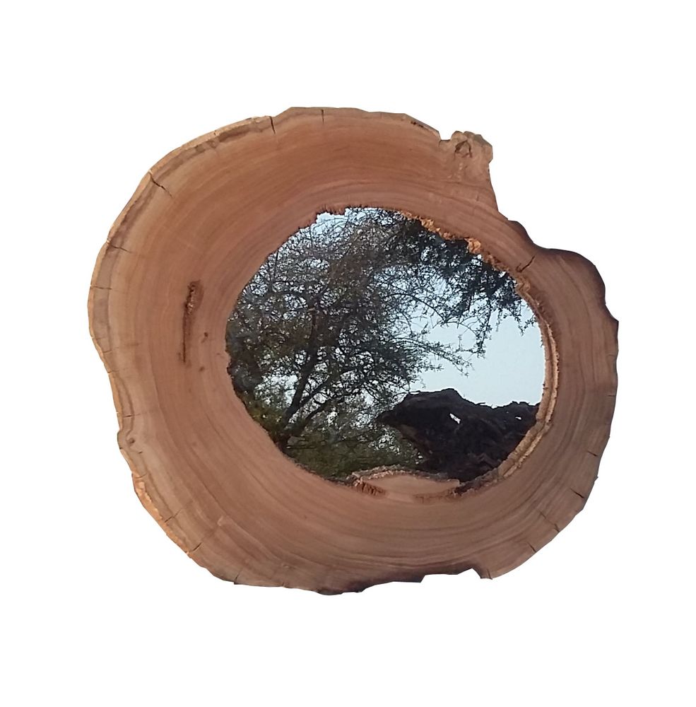 Mirrors - NATURE MIRROR - ATMOSPHÈRE D'ARGANERAIE