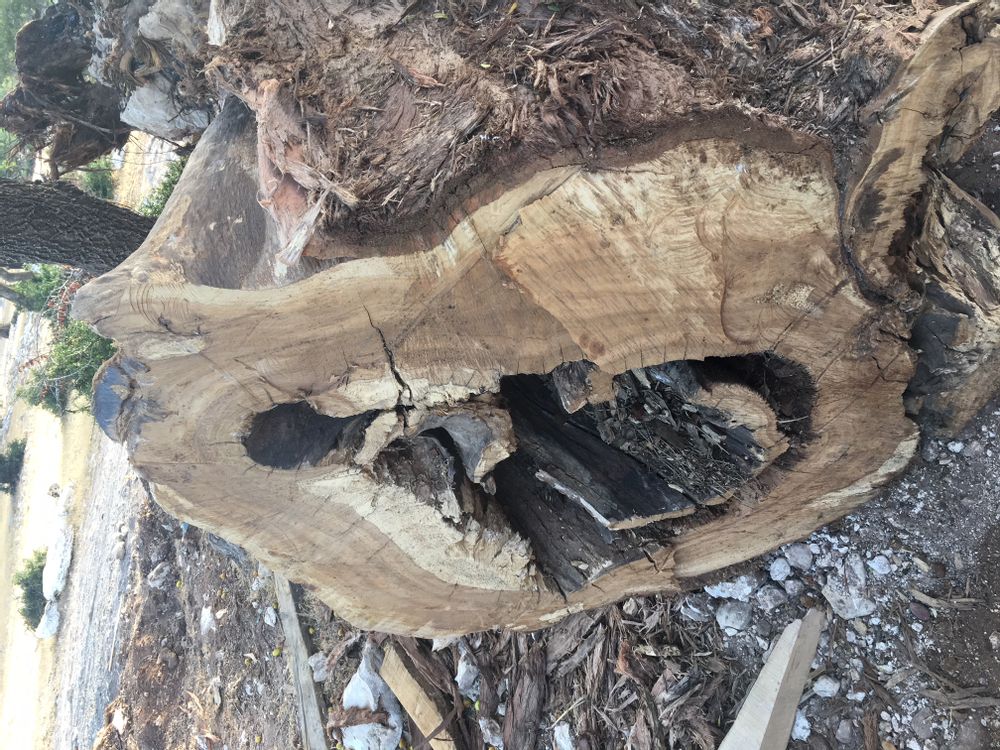 Mirrors - NATURE MIRROR - ATMOSPHÈRE D'ARGANERAIE