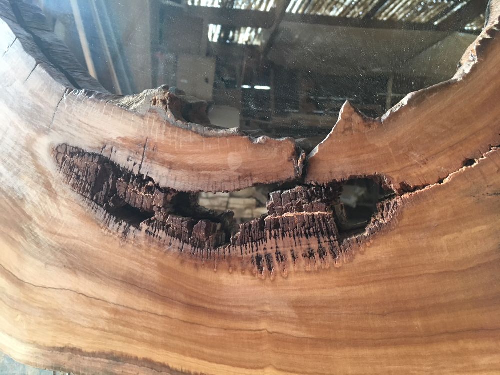 Mirrors - NATURE MIRROR - ATMOSPHÈRE D'ARGANERAIE