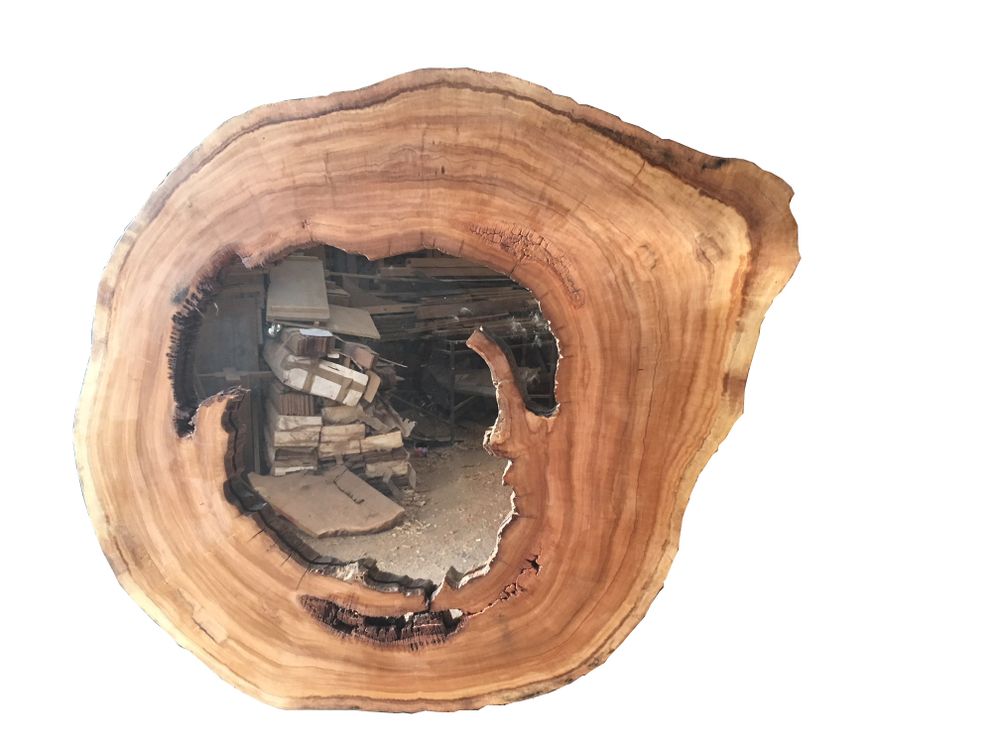 Mirrors - NATURE MIRROR - ATMOSPHÈRE D'ARGANERAIE