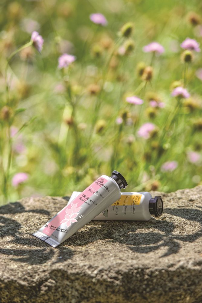 Cosmétiques - LES PETITES CREMES MAINS - LOTHANTIQUE