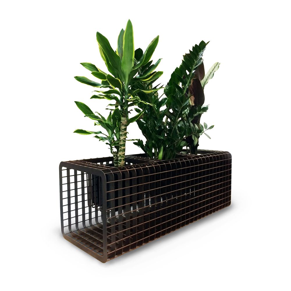 Vases - Triple Vase CUBE - COBERMASTER CONCEPT