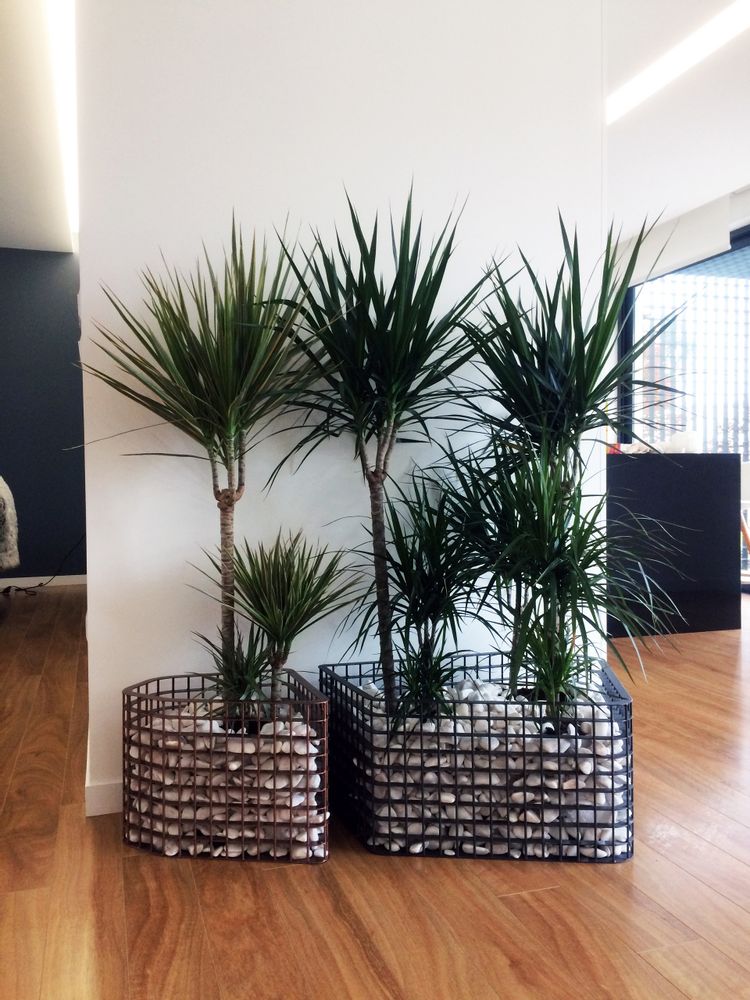 Vases - Vase Diamond - COBERMASTER CONCEPT