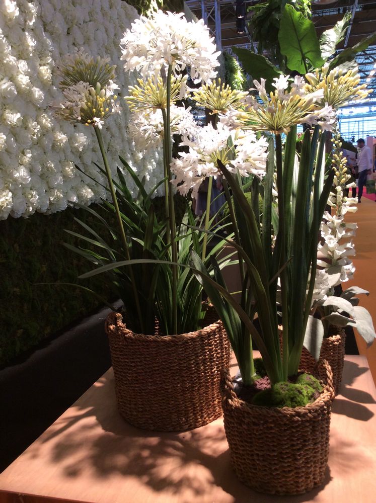 Floral decoration - Artificial Flowers & Plantes/ Fruits & Vegetables/ Decoration for Hôtels - VRANCKX - NATURE INSPIRED