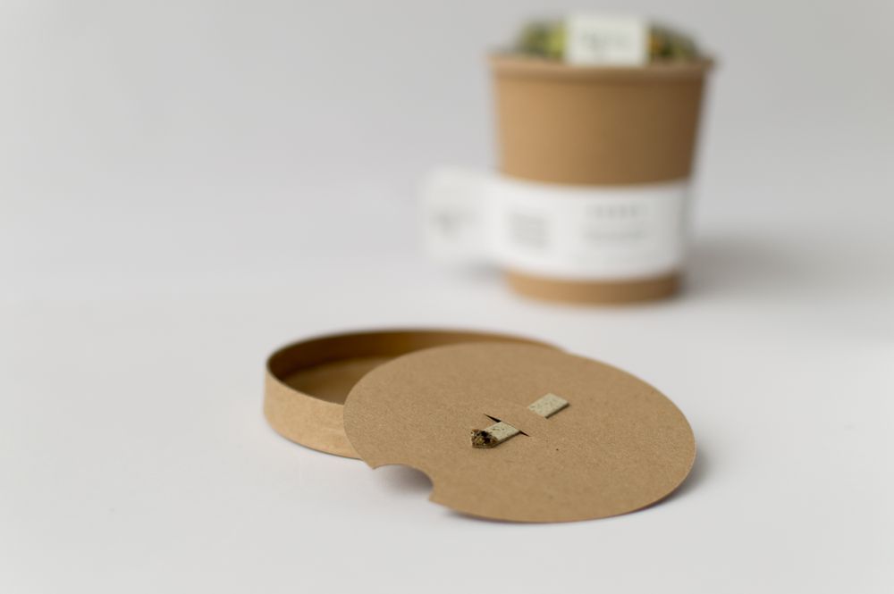 Spa - Tea Infusion Drink it - Plant it | Organic Herbal Tea Blend - RHOECO - FINE ORGANIC GOODS