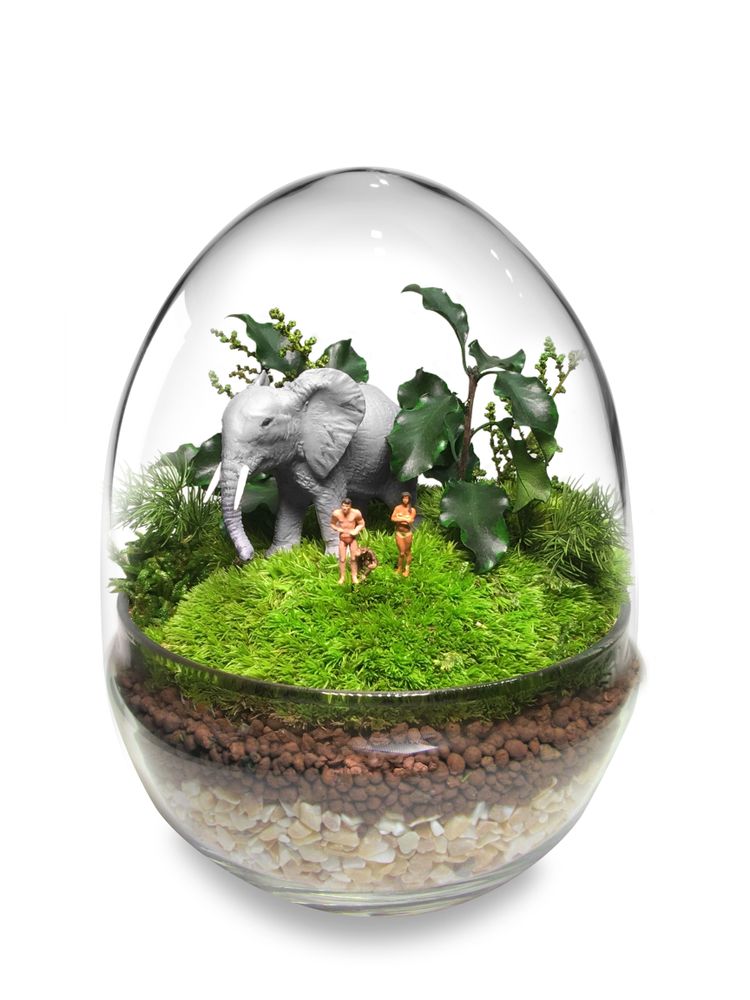 Objets design - TerrariumArt - TERRARIUMART