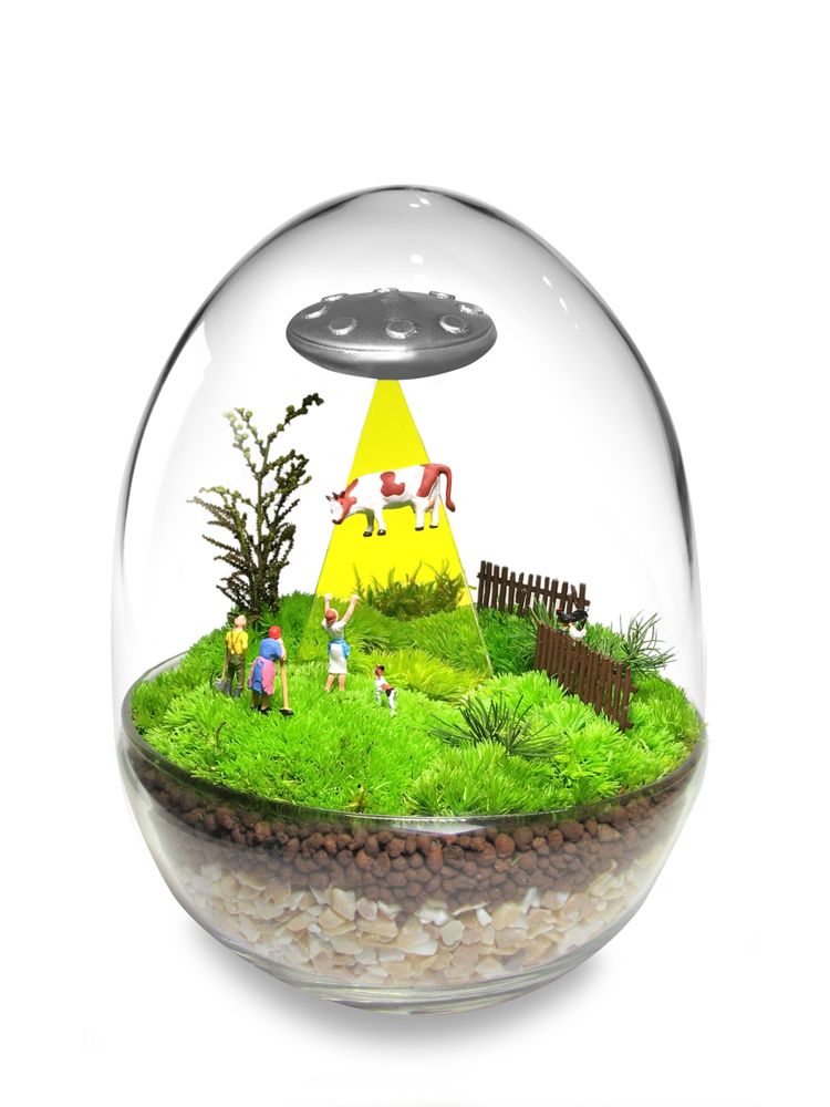 Objets design - TerrariumArt - TERRARIUMART
