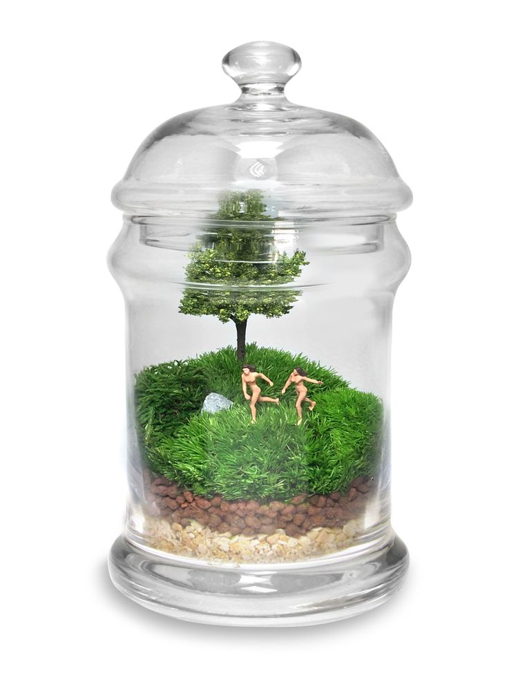 Decorative objects - TerrariumArt - TERRARIUMART