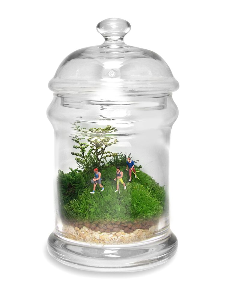 Decorative objects - TerrariumArt - TERRARIUMART