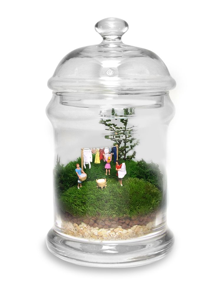 Decorative objects - TerrariumArt - TERRARIUMART