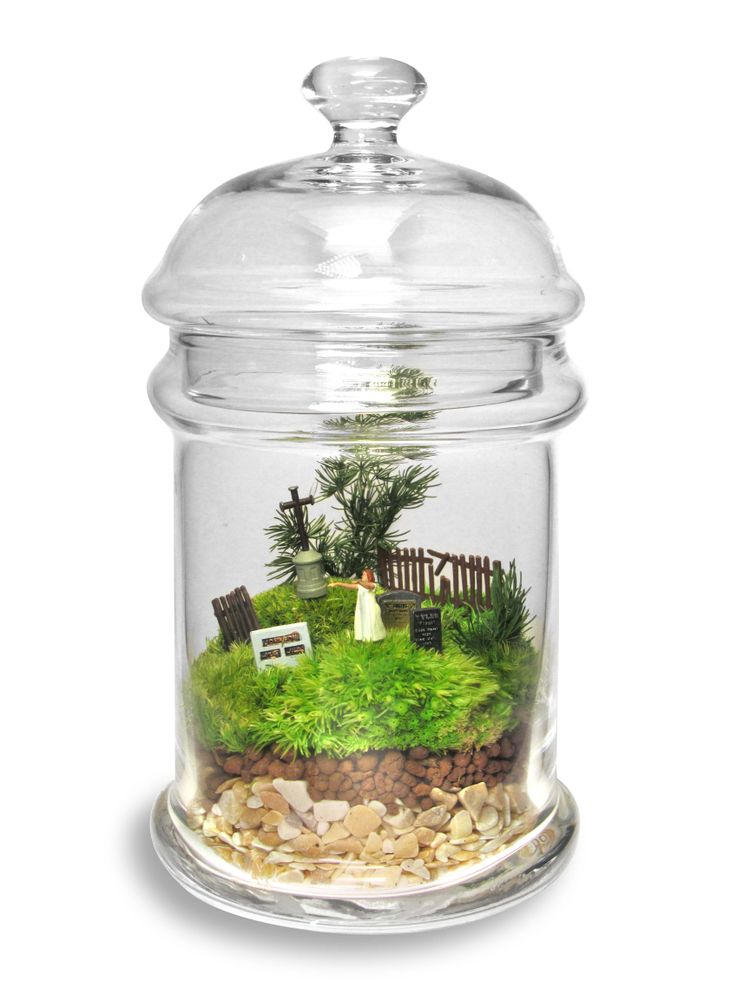 Decorative objects - TerrariumArt - TERRARIUMART