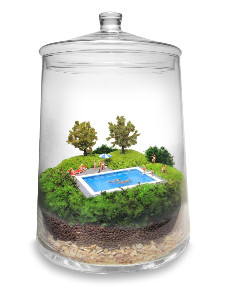 Cadeaux - TerrariumArt glass 3925 - TERRARIUMART