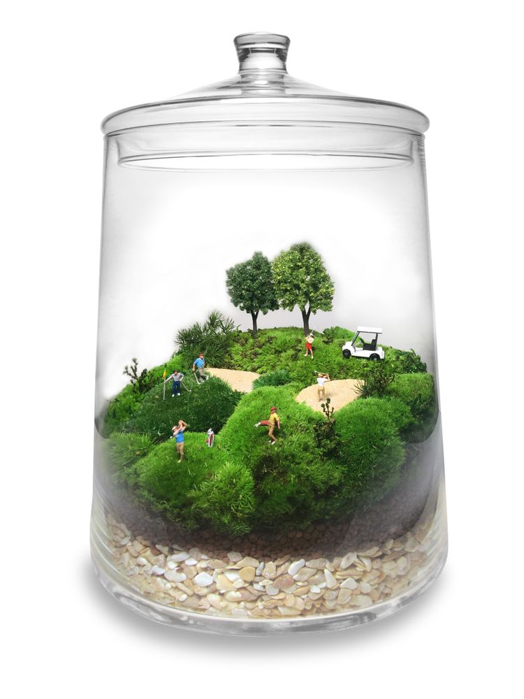 Cadeaux - TerrariumArt glass 3925 - TERRARIUMART