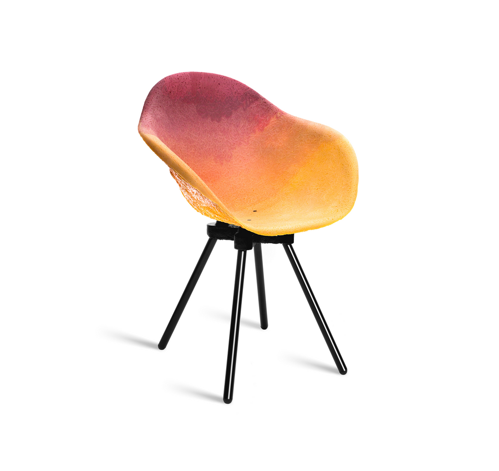 Chaises - Gravêne - MAXIMUM