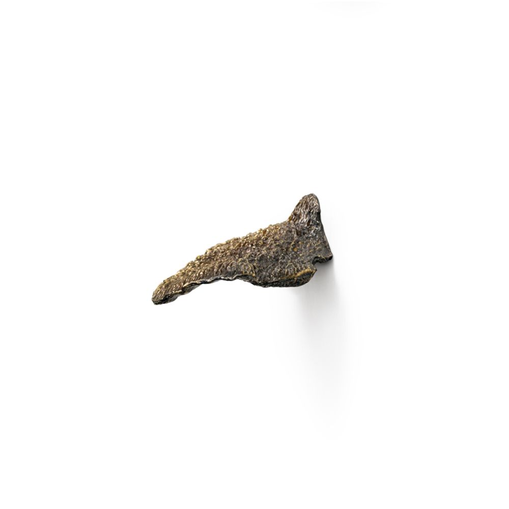 Unique pieces - FUNGI EA1032 - PULLCAST