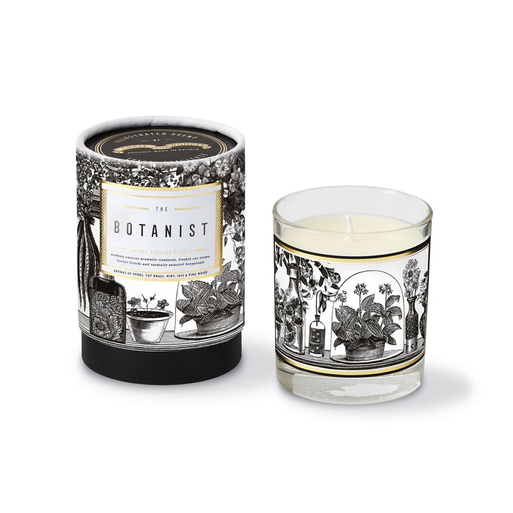 Candles - Illustrated Scent Luxury Candles - CHASE AND WONDER