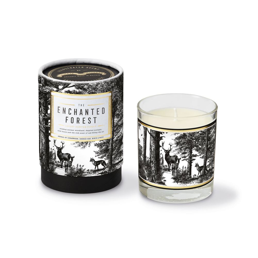 Candles - Illustrated Scent Luxury Candles - CHASE AND WONDER