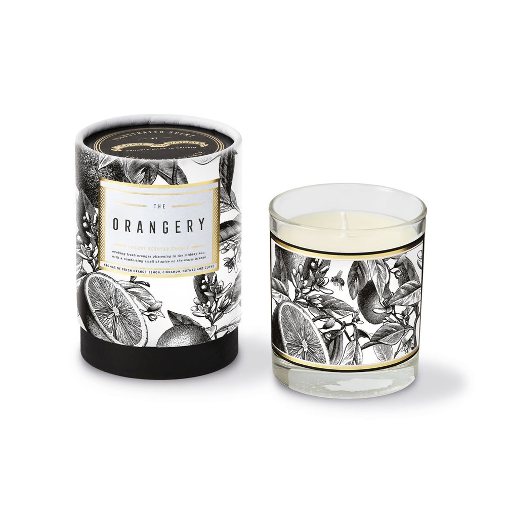 Candles - Illustrated Scent Luxury Candles - CHASE AND WONDER