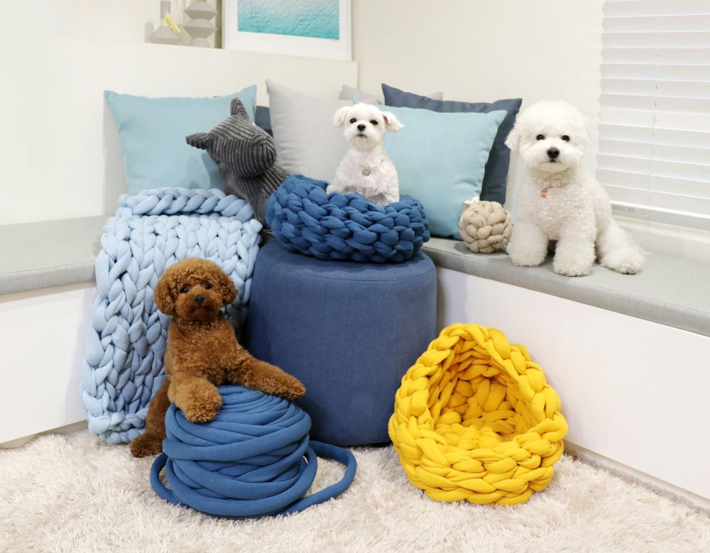 Gifts - Downy yarn kit - MAKIT