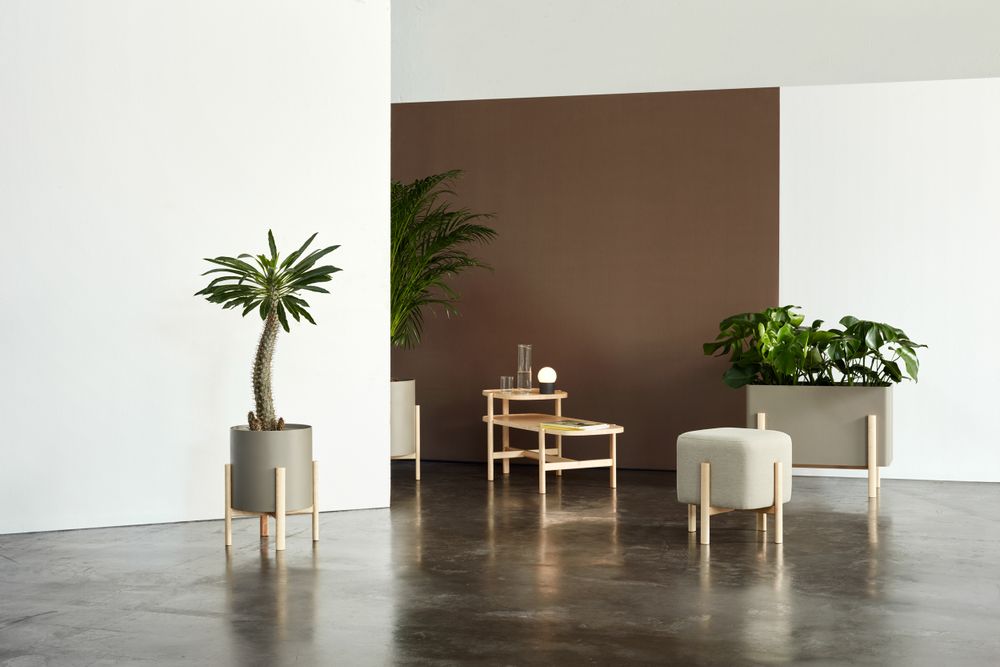 Floral decoration - ASHI collection - HOBBY FLOWER