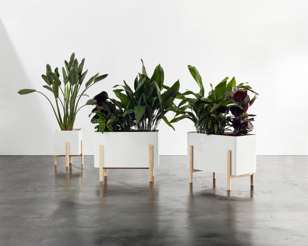 Floral decoration - ASHI collection - HOBBY FLOWER