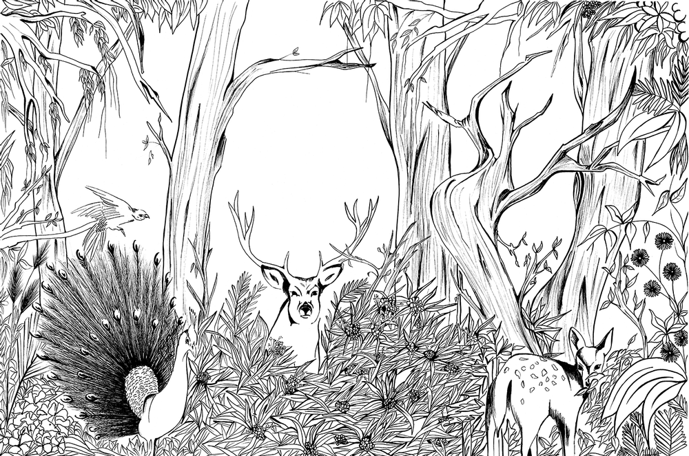 Papiers peints - Foresta incantata - AL&GORIA