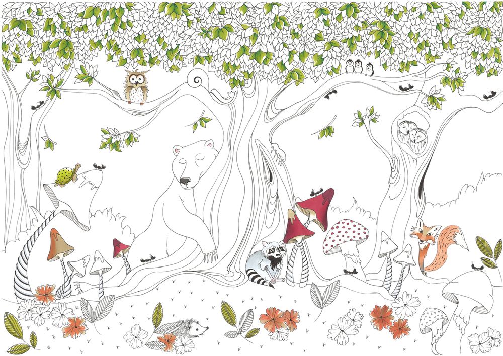 Wallpaper - Orso - AL&GORIA