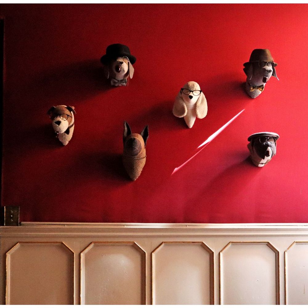 Other wall decoration - Soft Poodle Doris - Animal head - SOFTHEADS