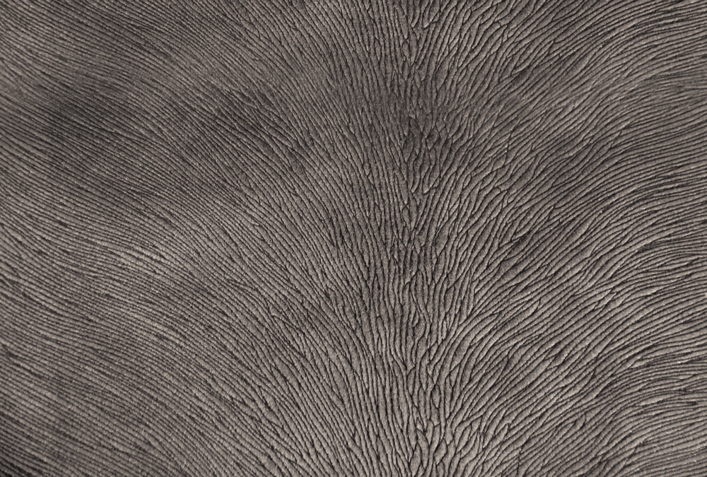 Fabrics - Hide Velvet Otter - KOKET