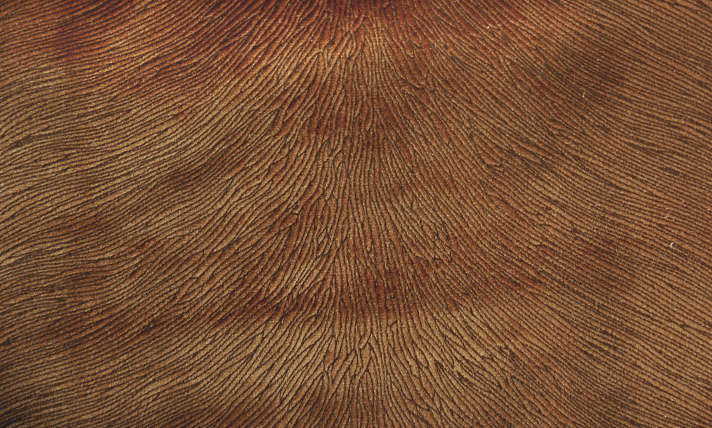 Tissus - Hide Velvet Rust - KOKET