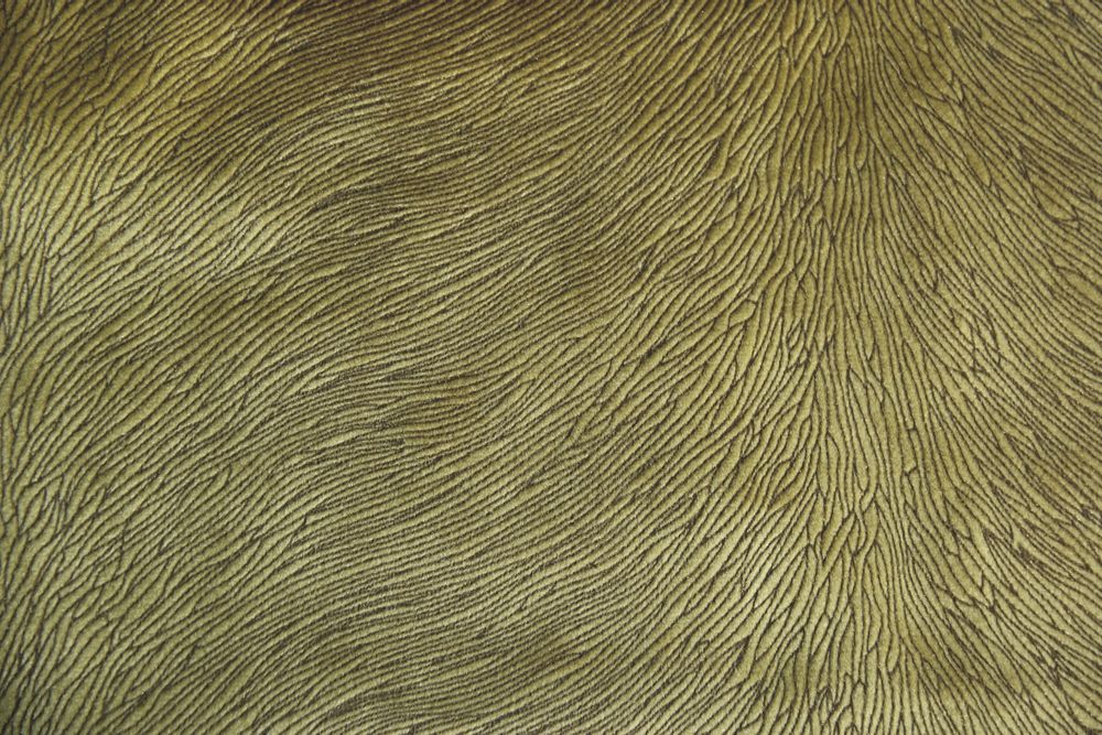 Fabrics - Hide Velvet Kiwi - KOKET