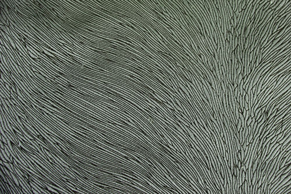 Fabrics - Hide Velvet Sage - KOKET
