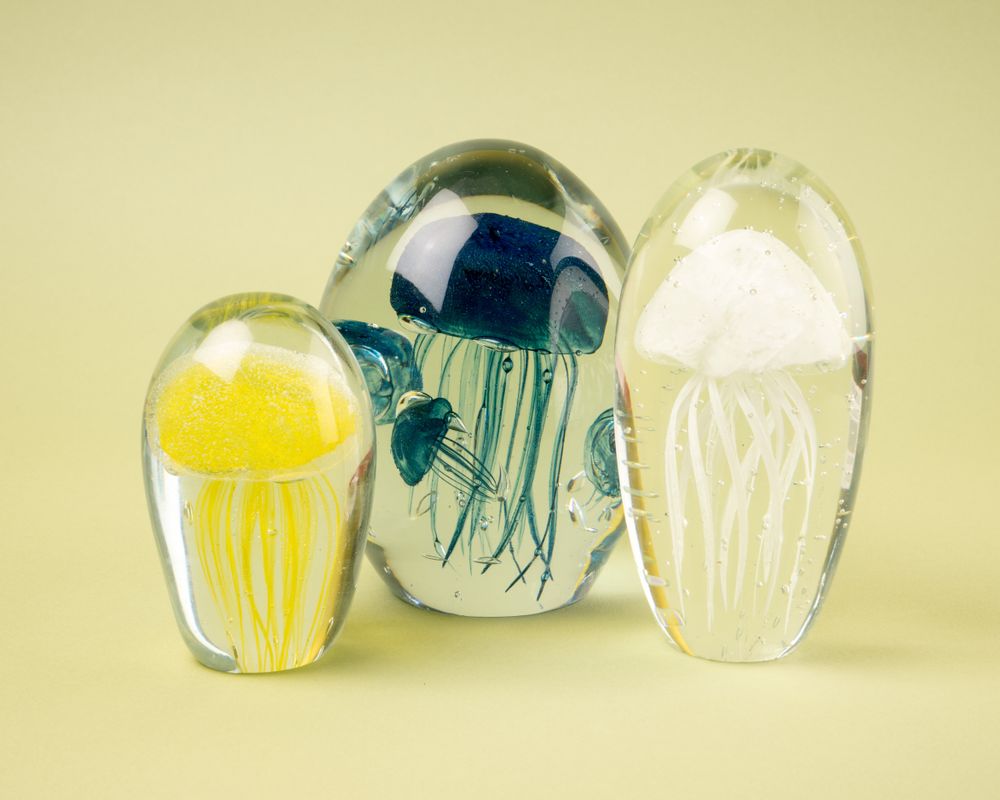 Decorative objects - Fossilised Jellyfish - ASIATIDES