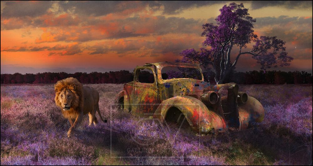 Autres décorations murales - COLORS - Lost Cars Lions - GALLERY VERTICAL