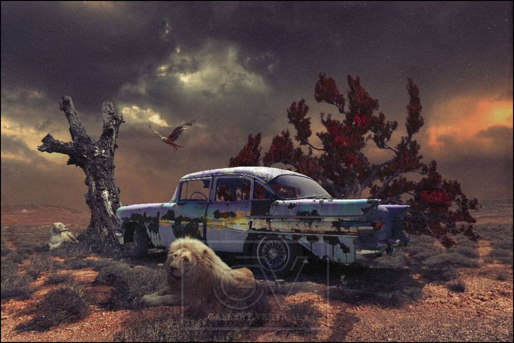 Autres décorations murales - COLORS - Lost Cars Lions - GALLERY VERTICAL