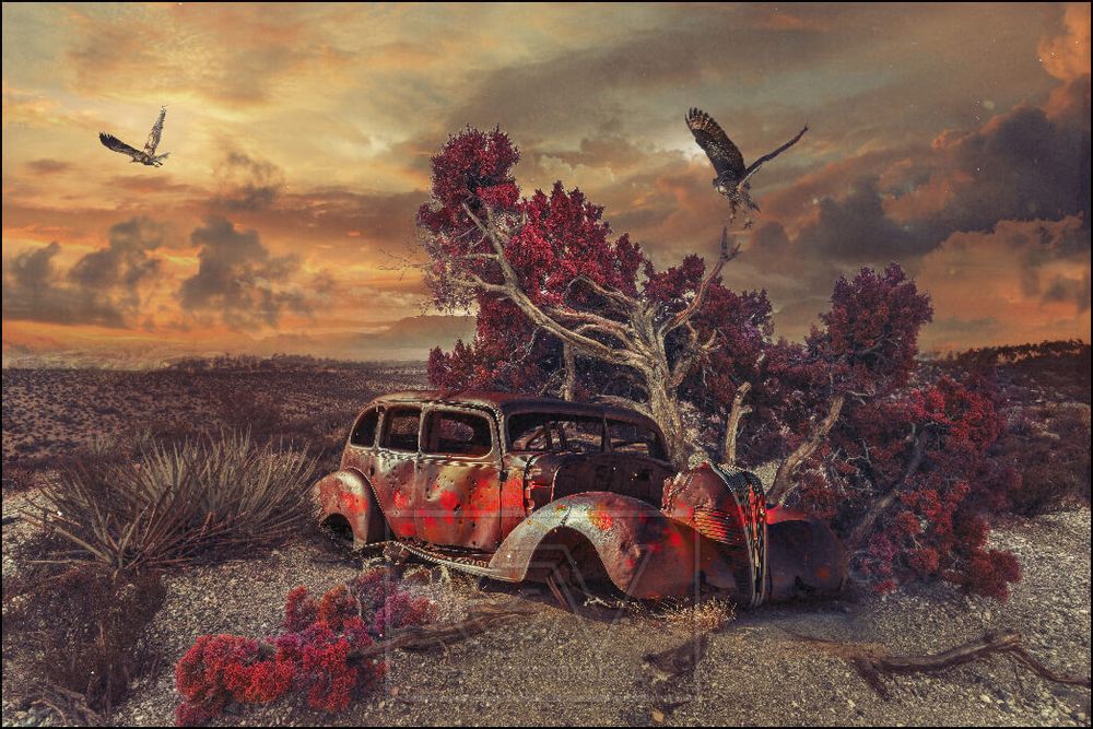 Autres décorations murales - COLORS - Lost Cars Lions - GALLERY VERTICAL