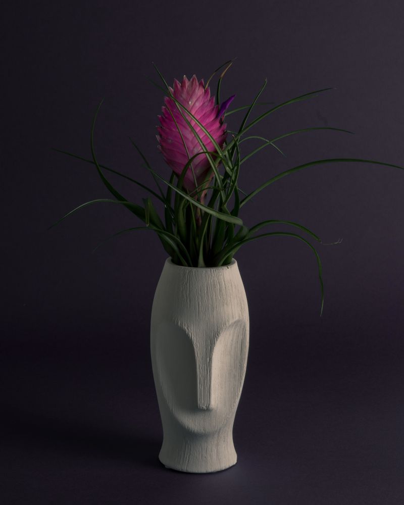Vases - MOAI Ceramic Vase. - ASIATIDES
