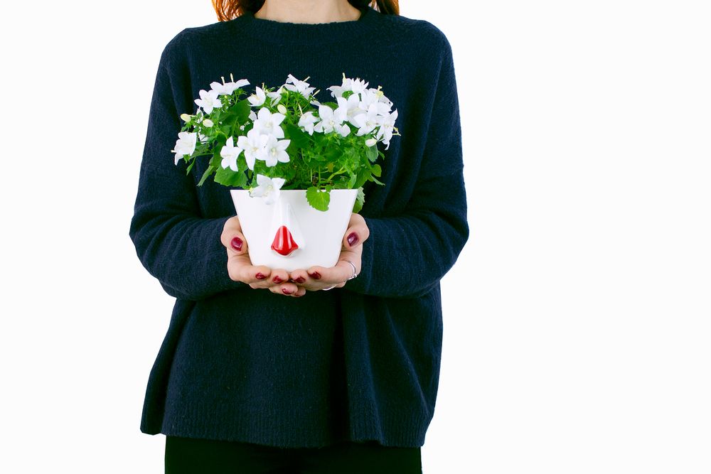Design objects - Bowl Naso Red Nose - DEDAL