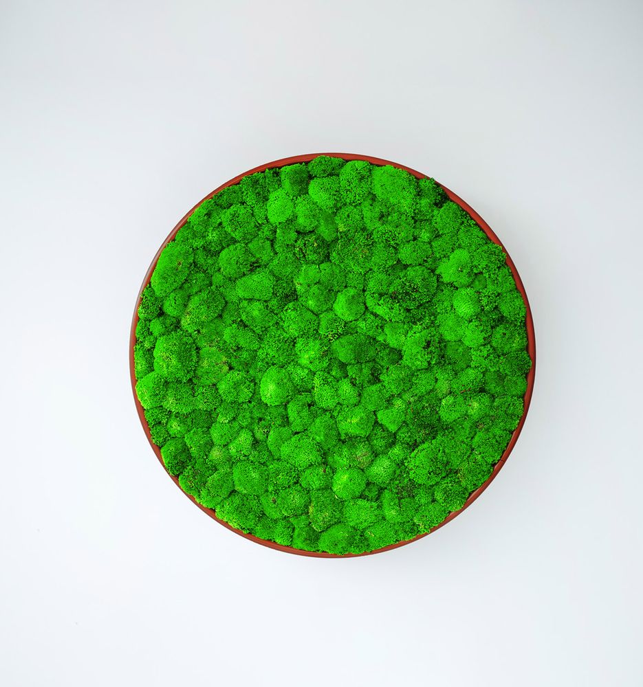 Office design and planning - G-Circles Wall panel - GREEN MOOD