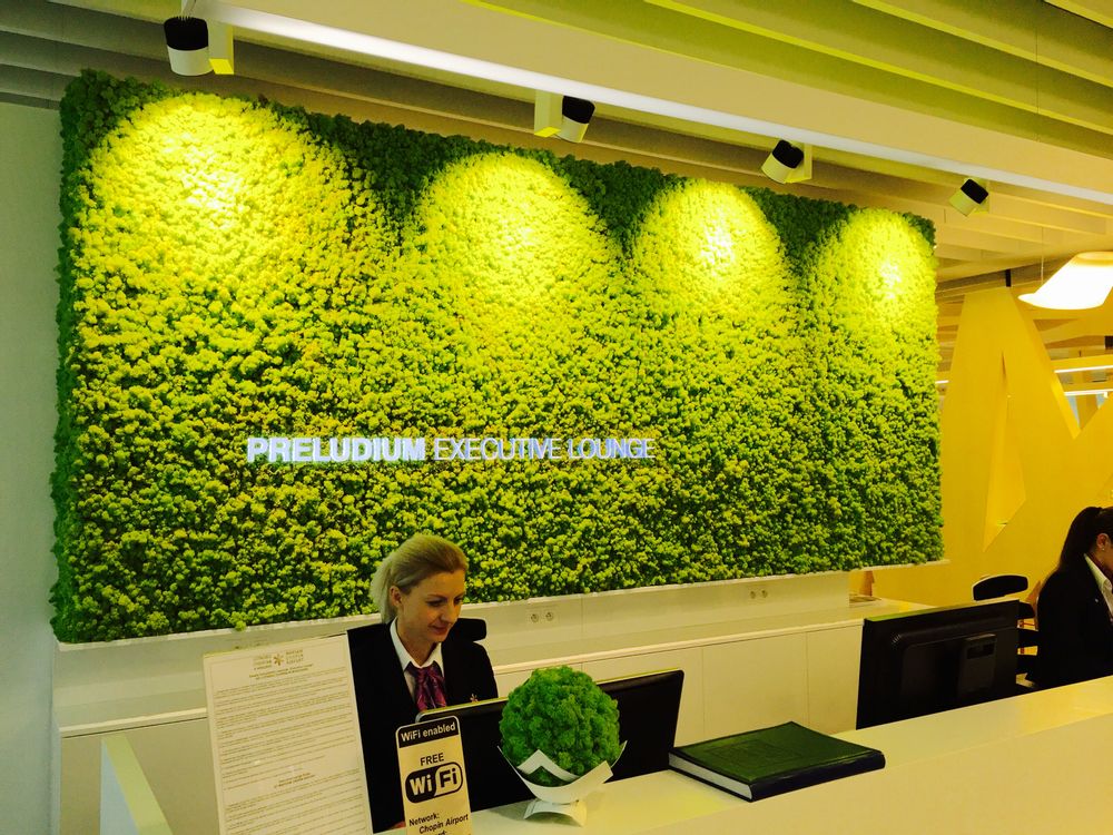Aménagements pour bureau - Mûr Végétal Stabilisé - Lichen - GREEN MOOD