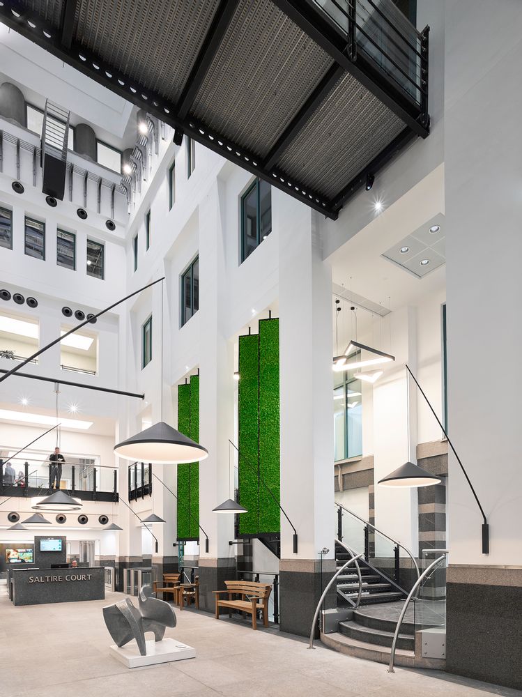 Office design and planning - Preserved Green Wall - Forest - GREEN MOOD