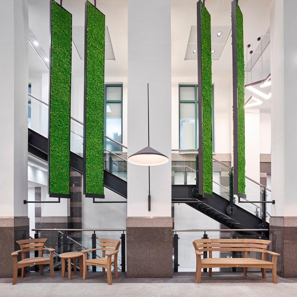 Office design and planning - Preserved Green Wall - Forest - GREEN MOOD