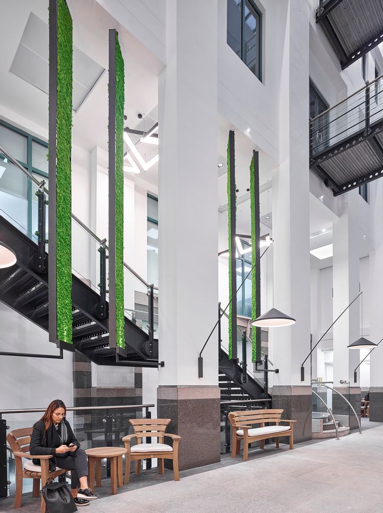 Office design and planning - Preserved Green Wall - Forest - GREEN MOOD