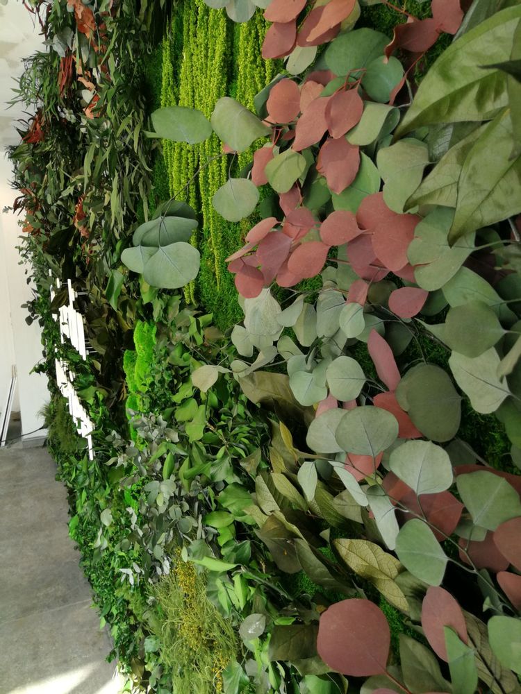 Office furniture and storage - Preserved Green Wall - Forest - GREEN MOOD