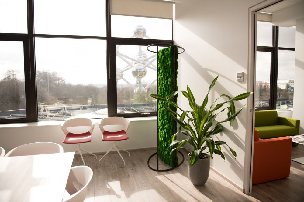 Office design and planning - G-Divider - GREEN MOOD