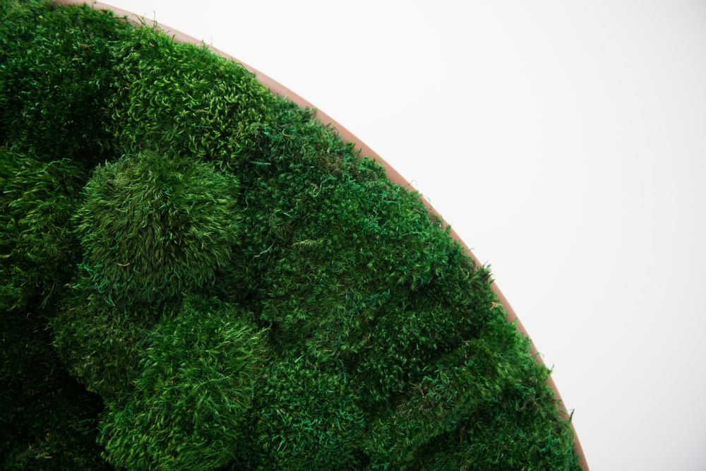 Office design and planning - G-Screen - GREEN MOOD